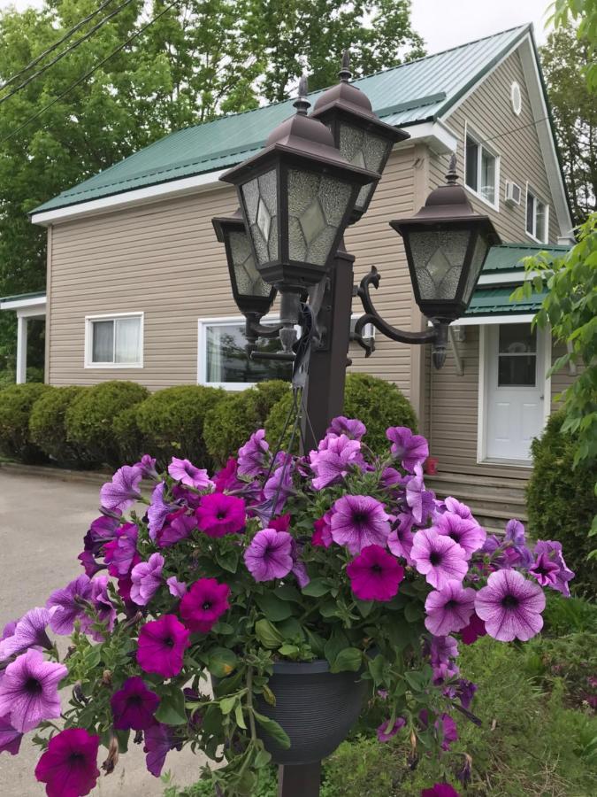 Winsome Inn Сейнт Стивън Екстериор снимка
